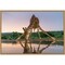 Sunset giraffe drinking by Francoisventer 23-in. W x 16-in. H. Canvas Wall Art Print Framed in Natural